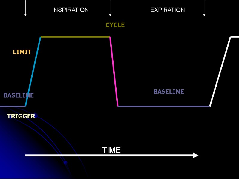 TRIGGER BASELINE CYCLE BASELINE LIMIT TIME INSPIRATION EXPIRATION